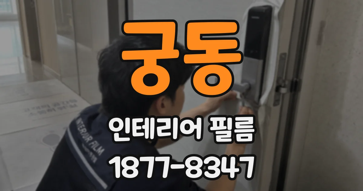 궁동 인테리어 필름