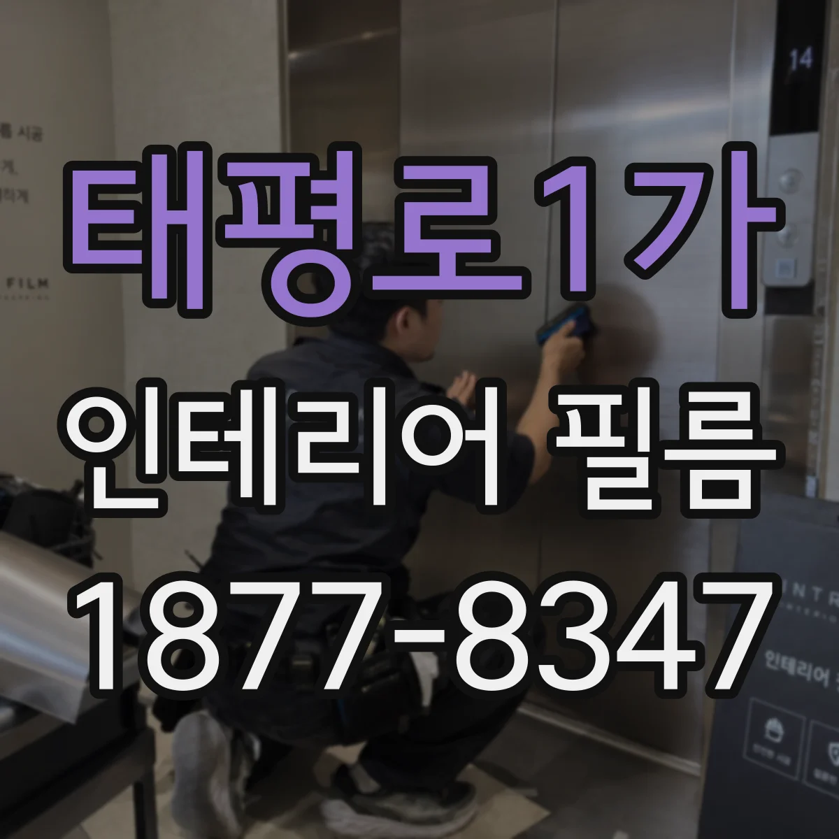 태평로1가 인테리어 필름