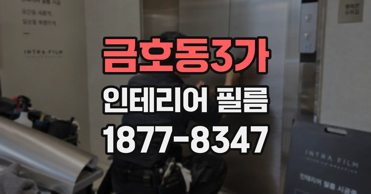 금호동3가 인테리어 필름