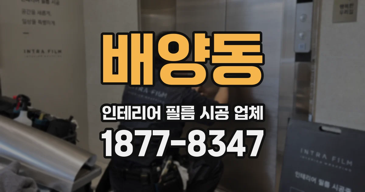 배양동 인테리어 필름 시공 업체