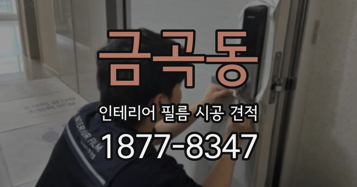 금곡동 인테리어 필름 시공 견적