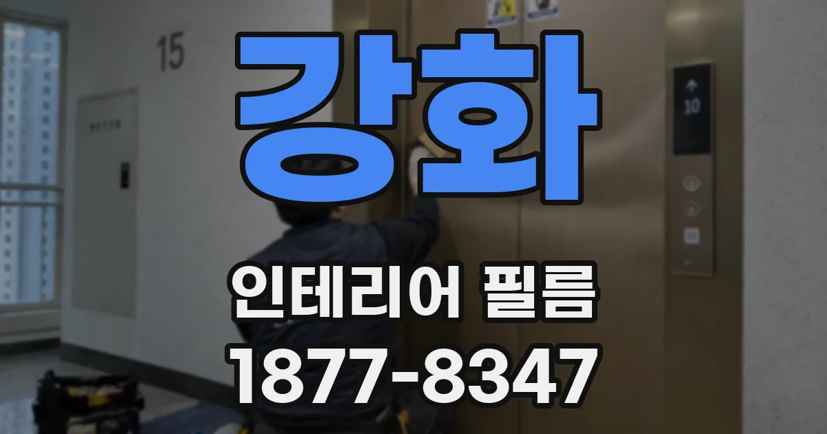 강화 인테리어 필름