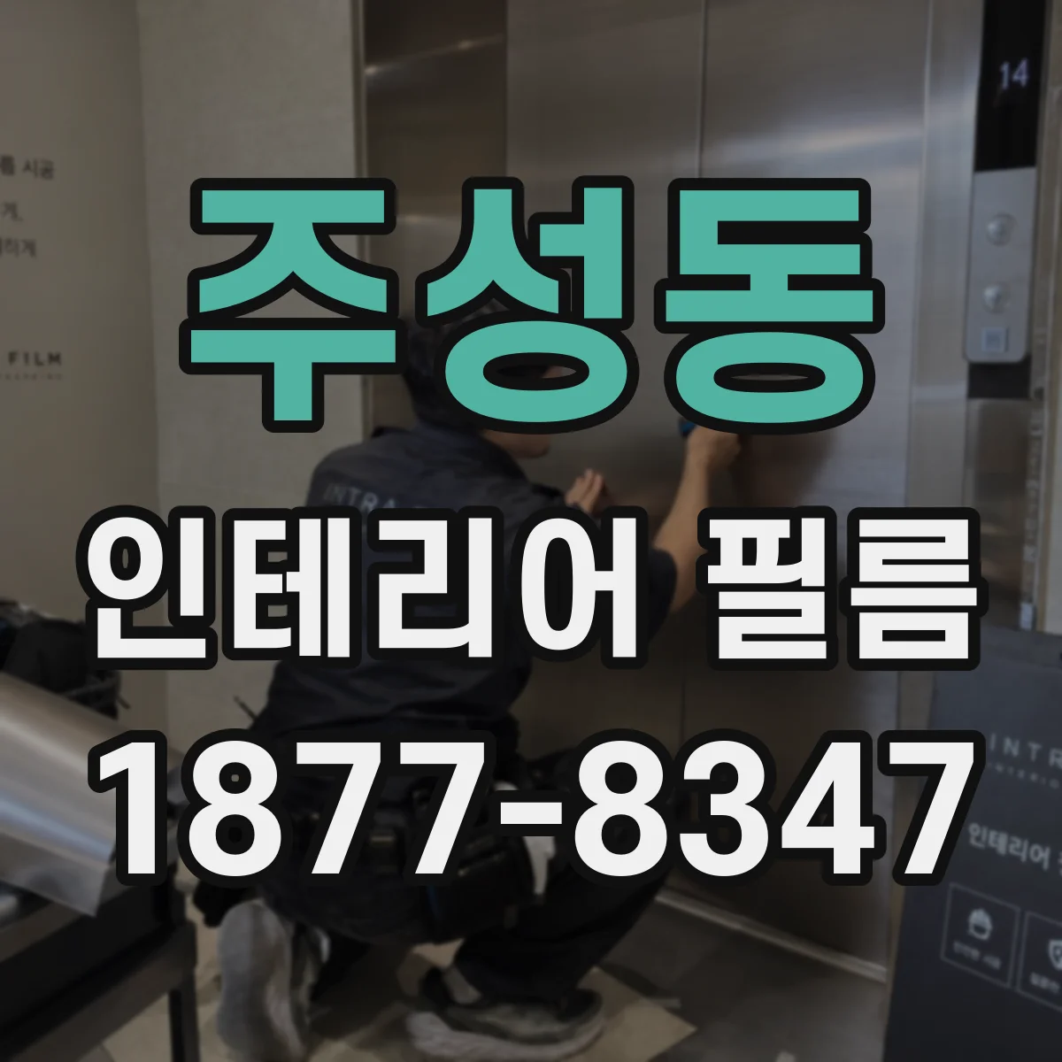 주성동 인테리어 필름