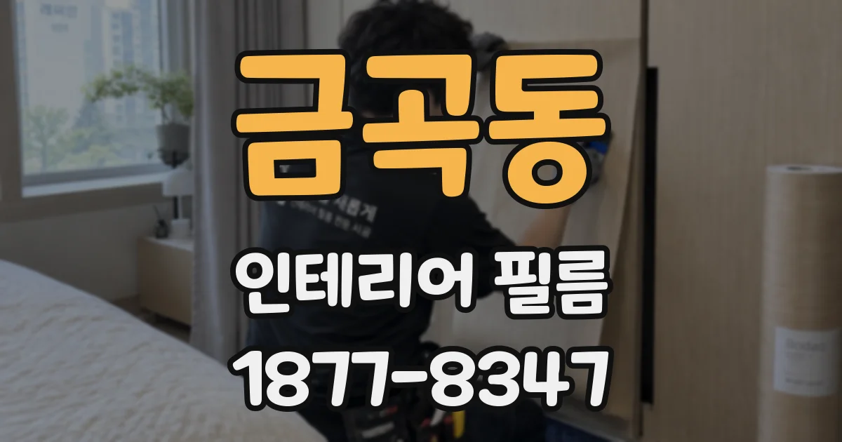 금곡동 인테리어 필름