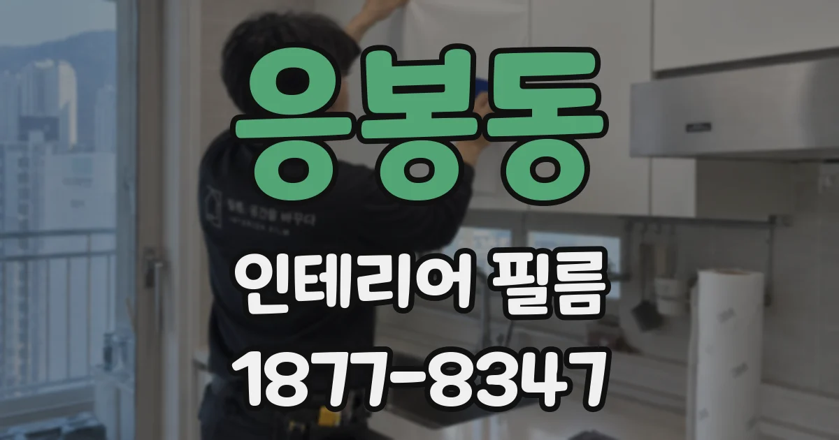 응봉동 인테리어 필름