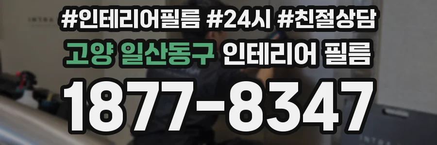 고양 일산동구 인테리어 필름