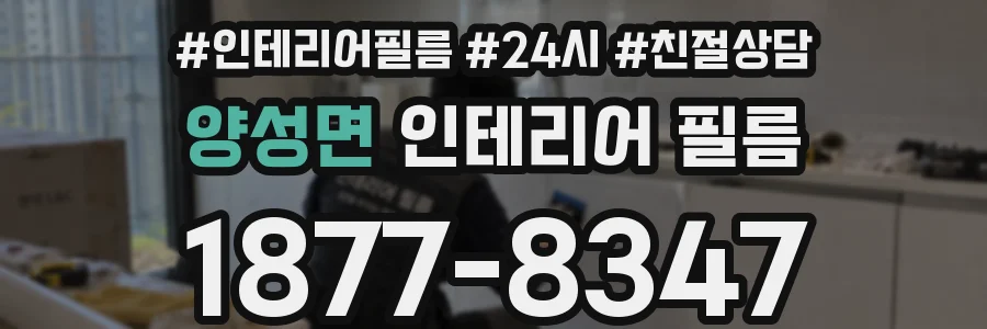 양성면 인테리어 필름