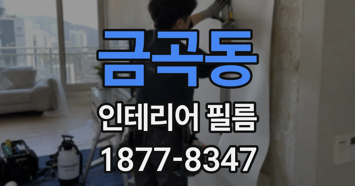 금곡동 인테리어 필름