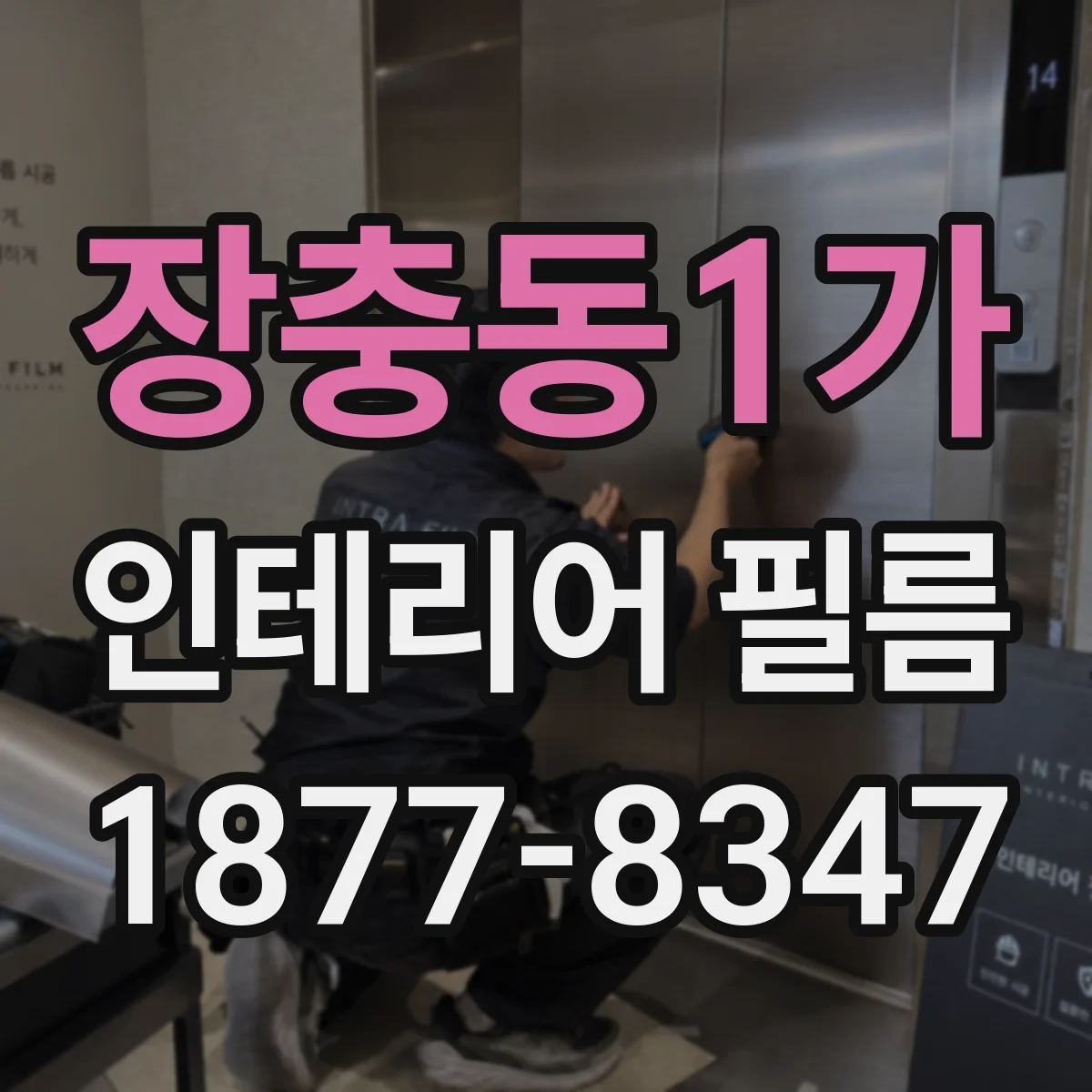 장충동1가 인테리어 필름