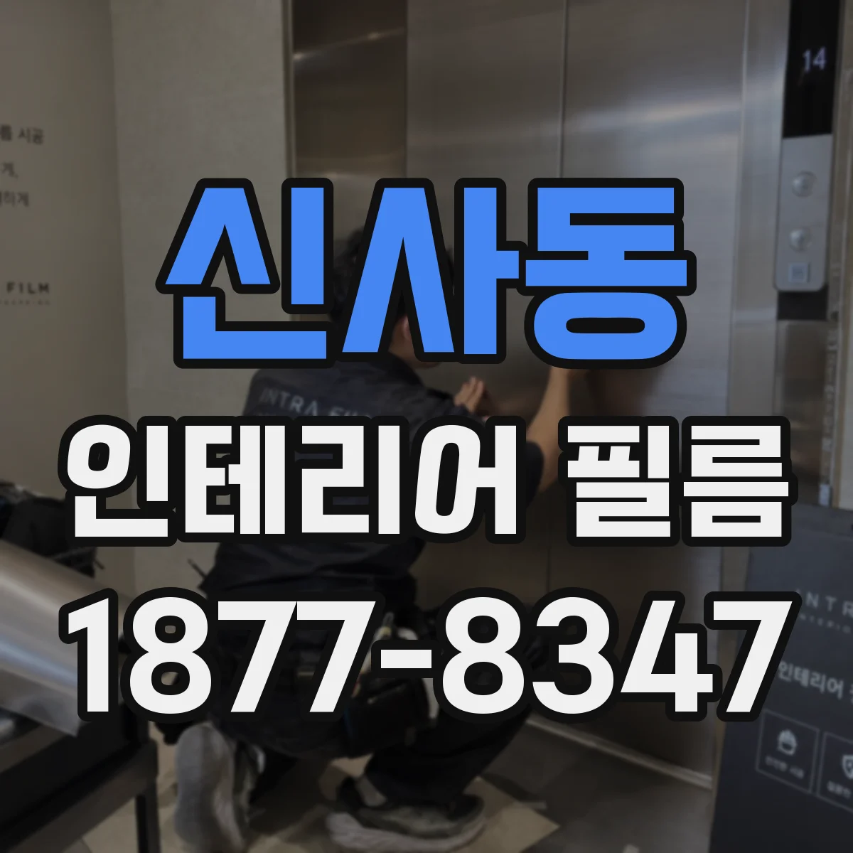 신사동 인테리어 필름