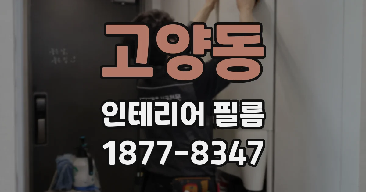 고양동 인테리어 필름