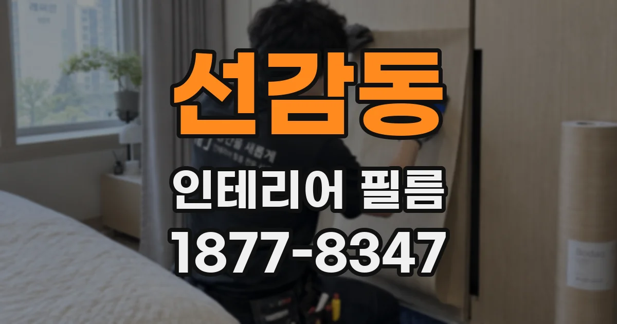 선감동 인테리어 필름