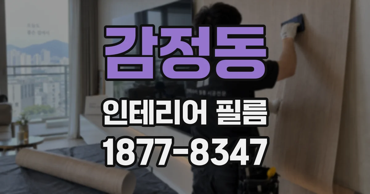 감정동 인테리어 필름