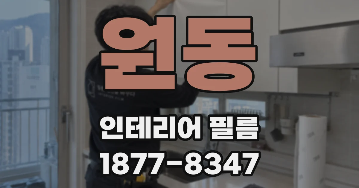 원동 인테리어 필름