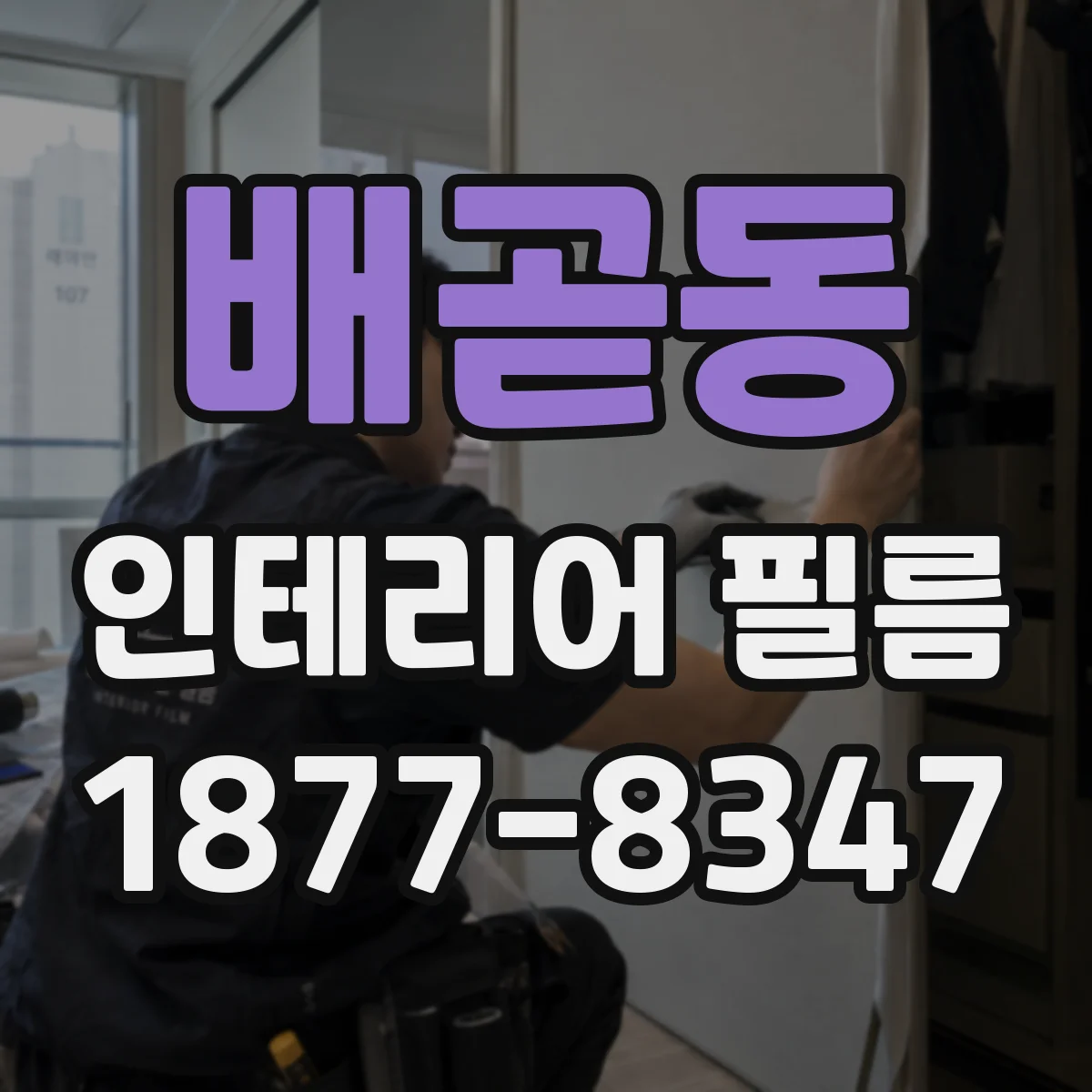 배곧동 인테리어 필름