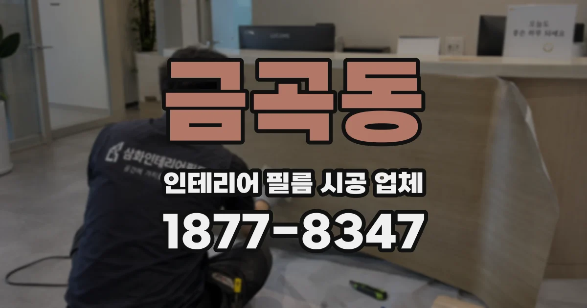 금곡동 인테리어 필름 시공 업체
