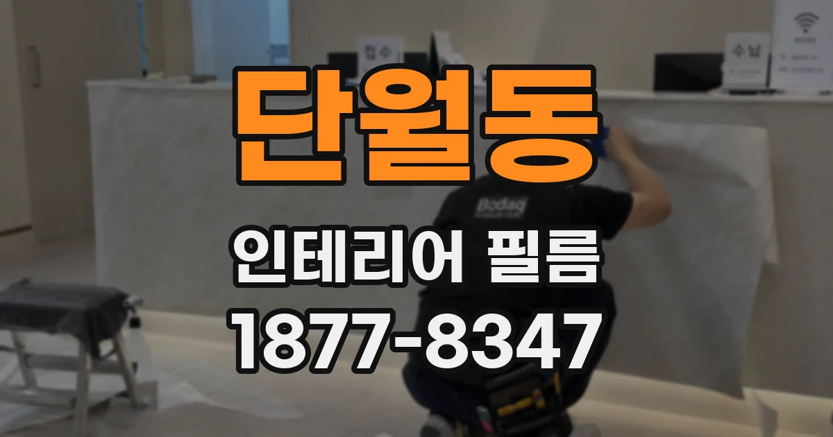 단월동 인테리어 필름
