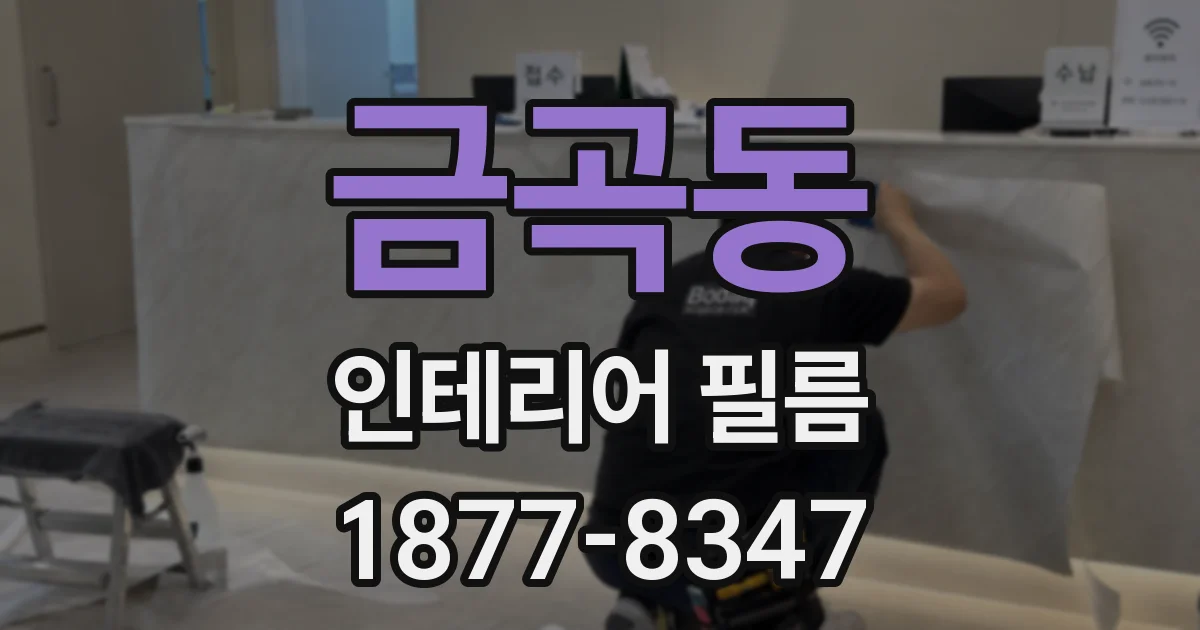 금곡동 인테리어 필름