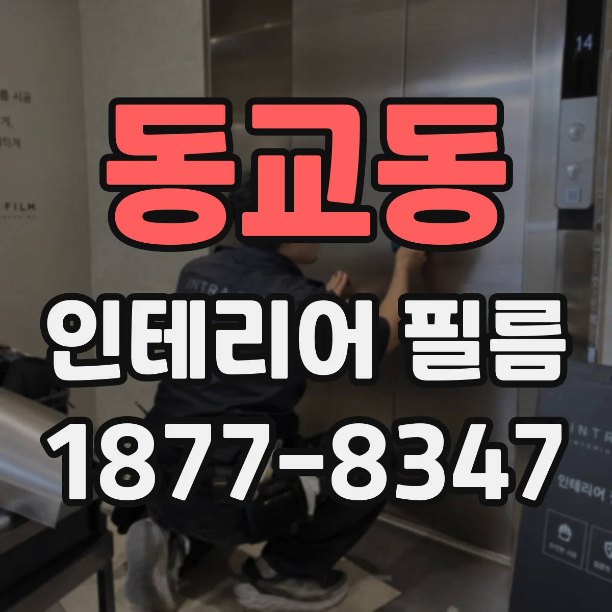 동교동 인테리어 필름