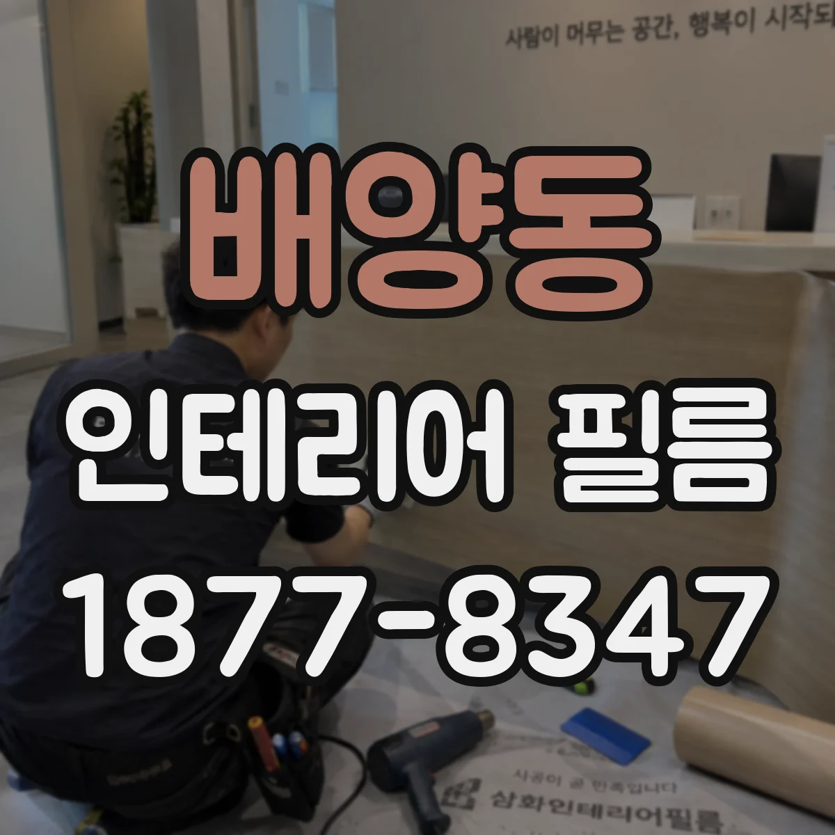 배양동 인테리어 필름