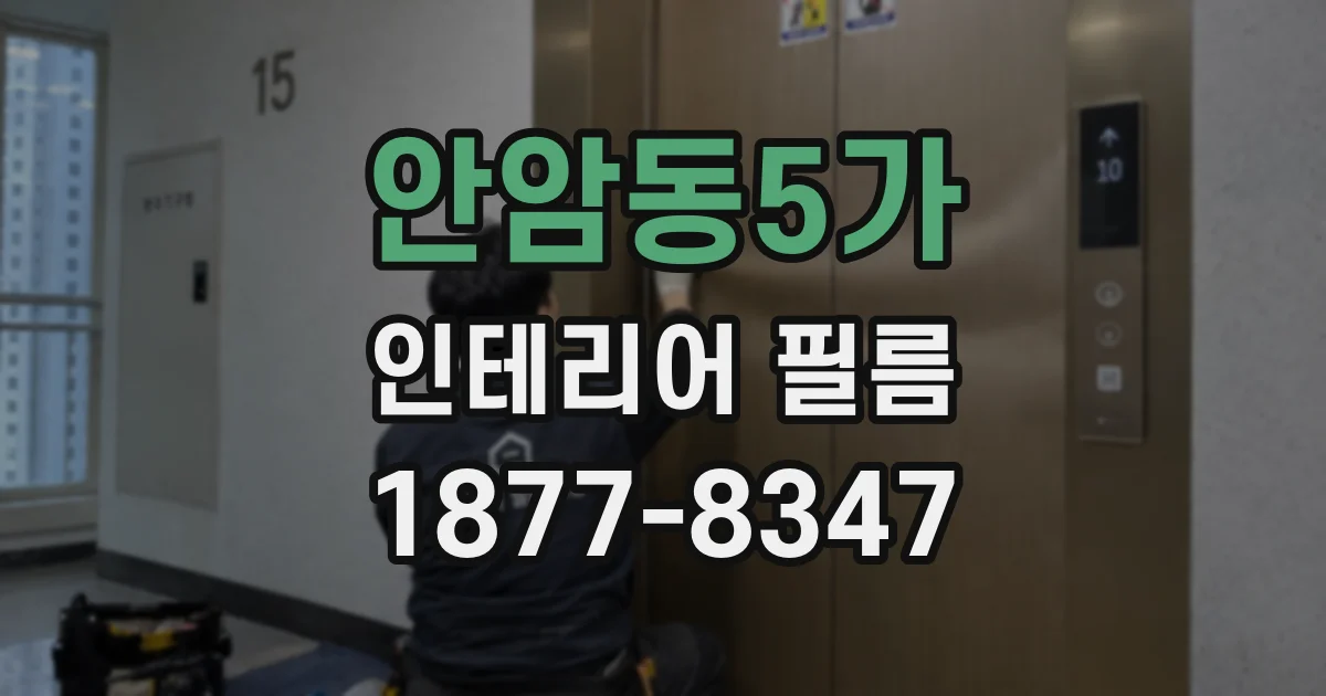 안암동5가 인테리어 필름