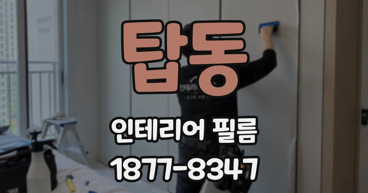 탑동 인테리어 필름