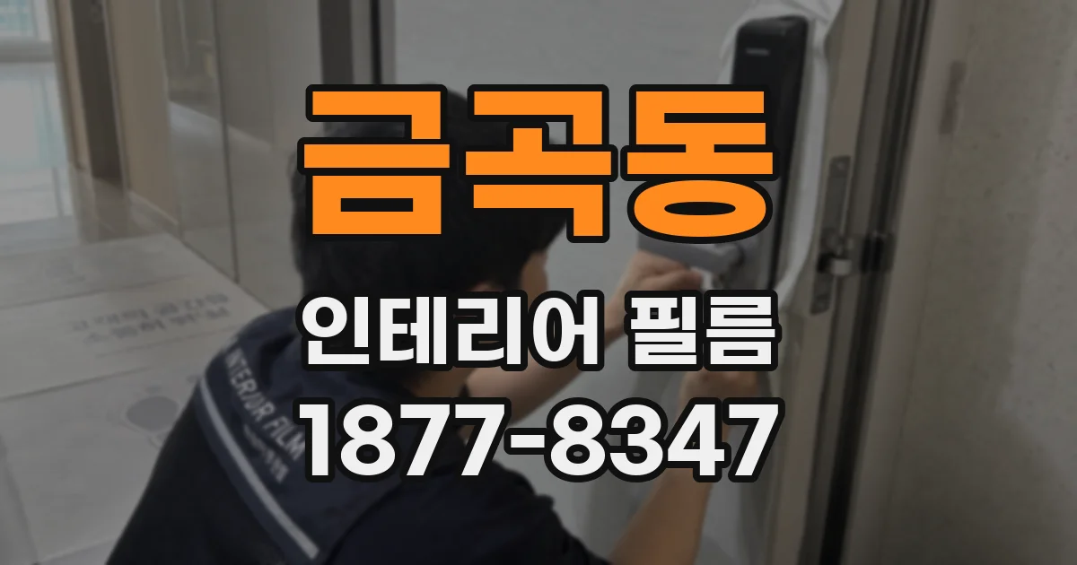금곡동 인테리어 필름