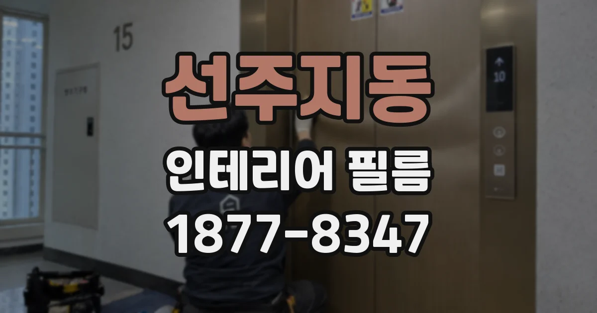 선주지동 인테리어 필름