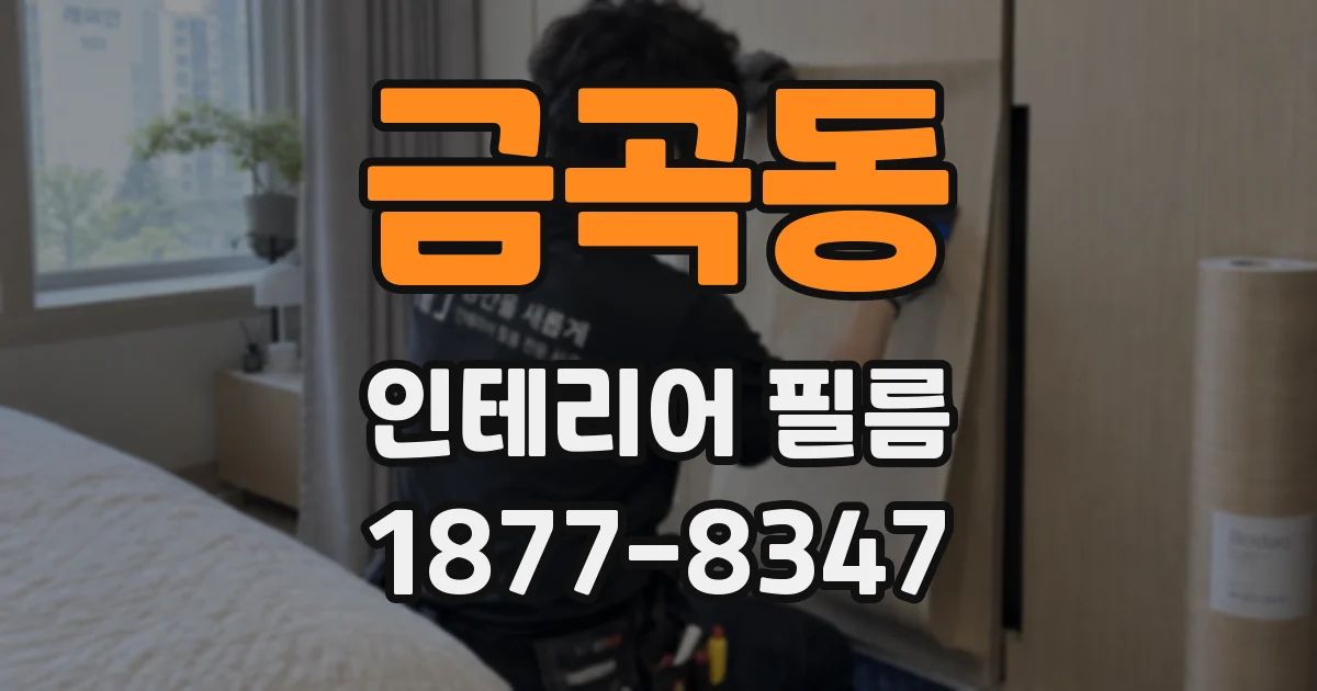 금곡동 인테리어 필름