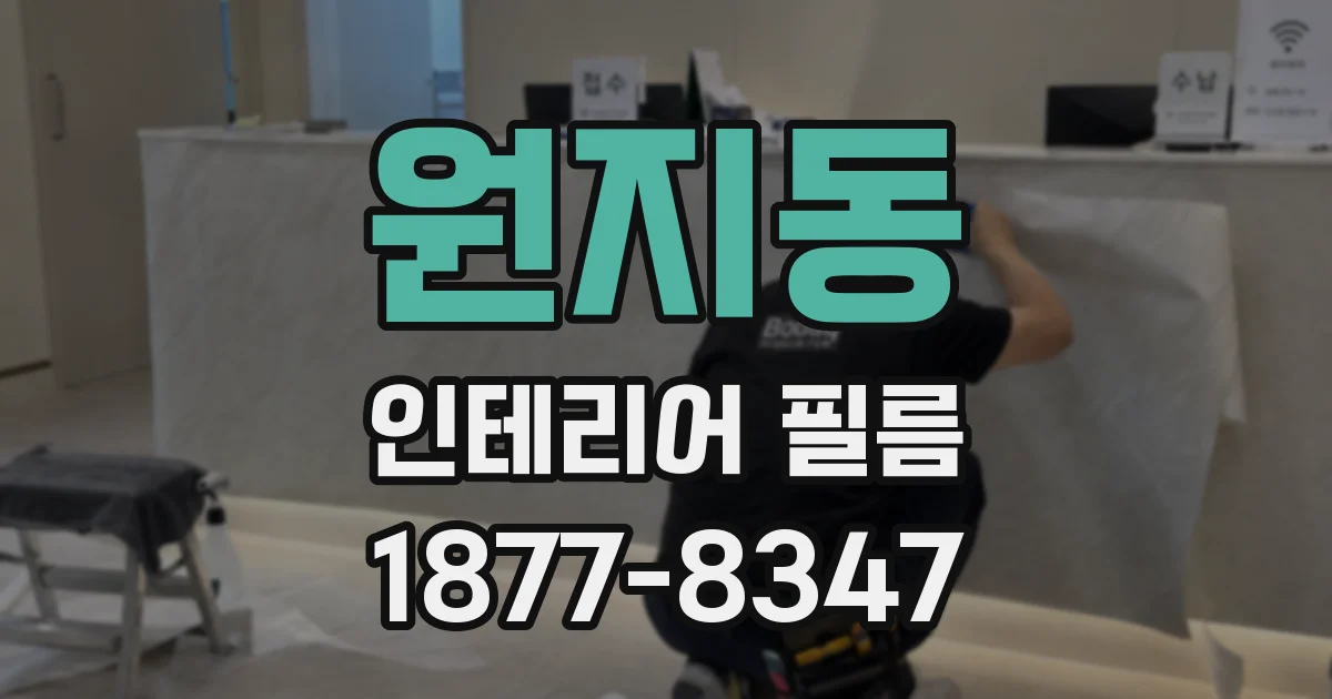 원지동 인테리어 필름