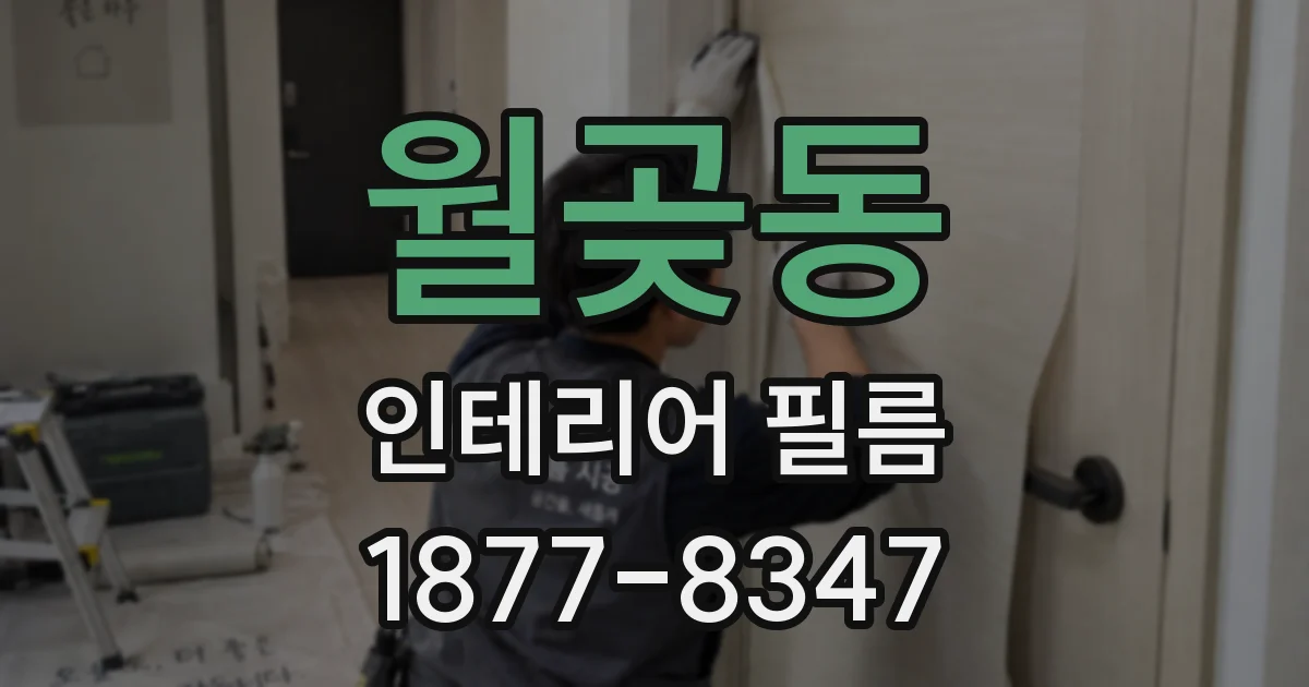월곶동 인테리어 필름