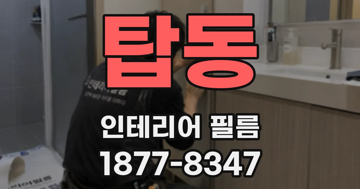 탑동 인테리어 필름