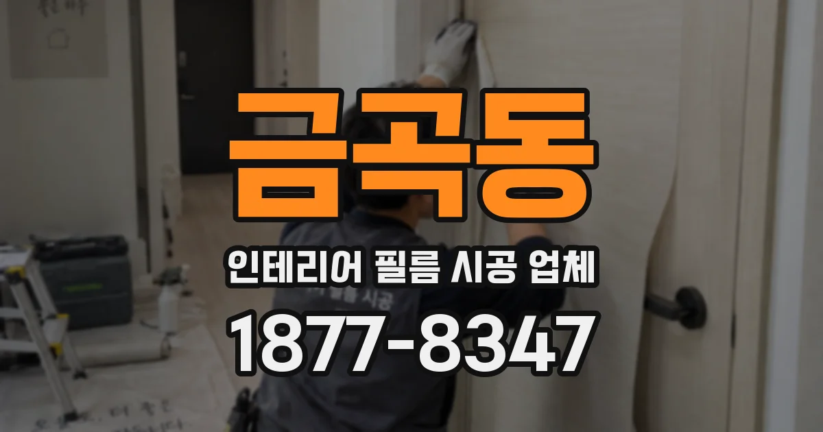 금곡동 인테리어 필름 시공 업체