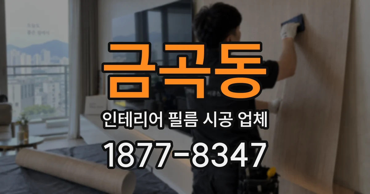 금곡동 인테리어 필름 시공 업체