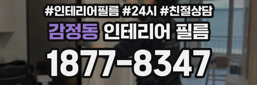 감정동 인테리어 필름