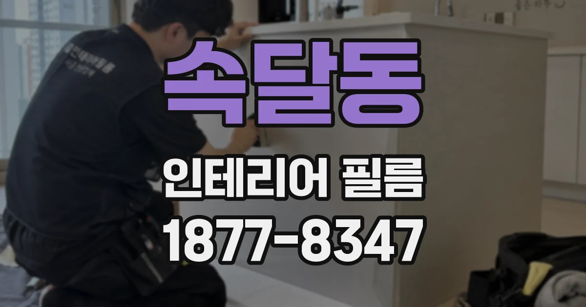 속달동 인테리어 필름