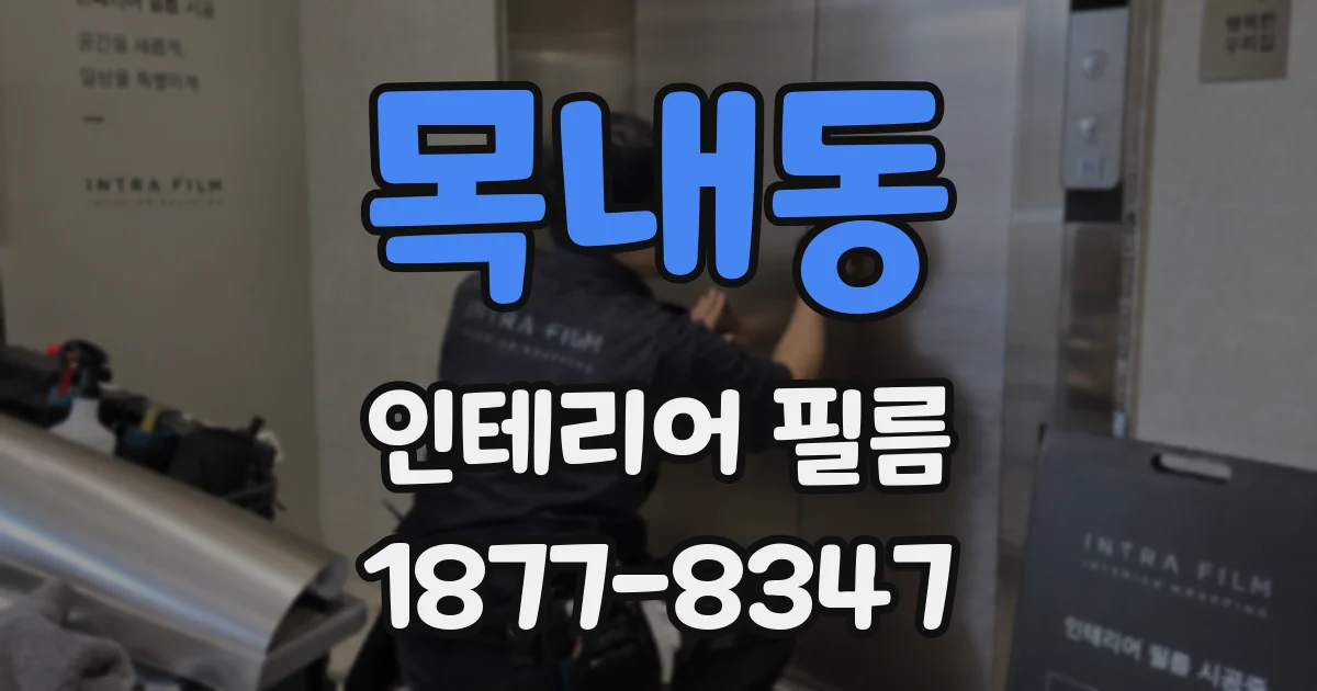 목내동 인테리어 필름
