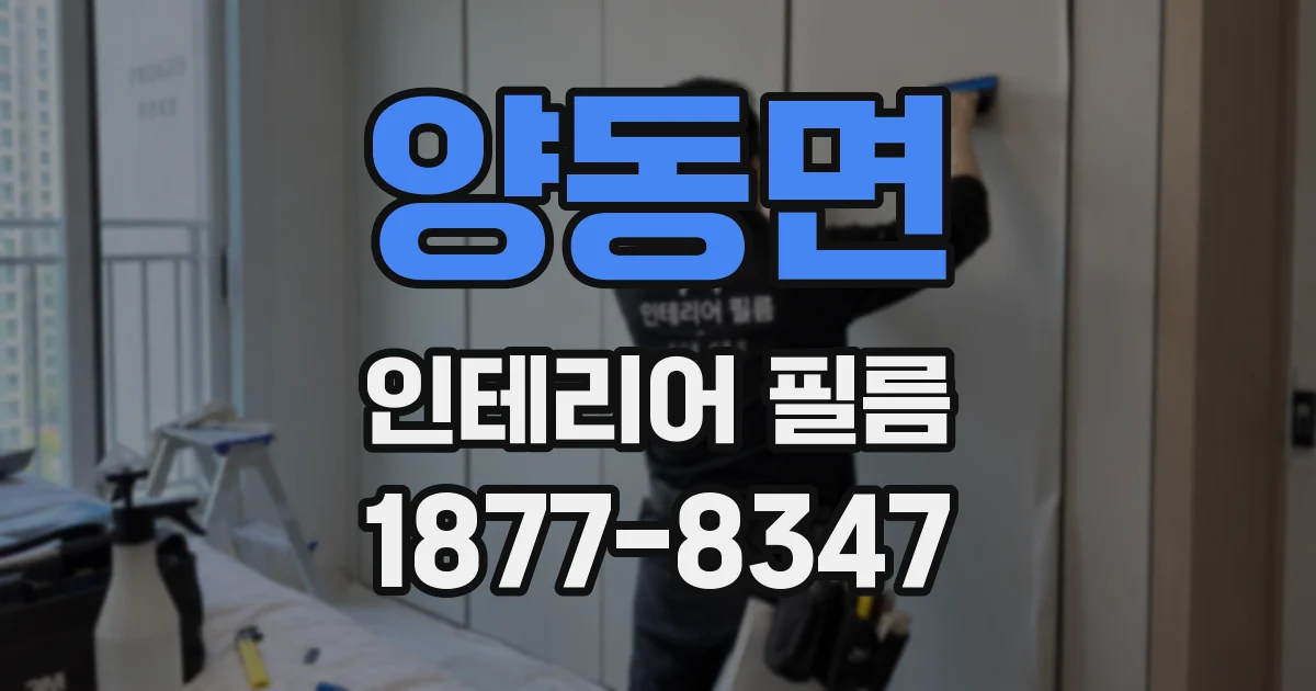 양동면 인테리어 필름