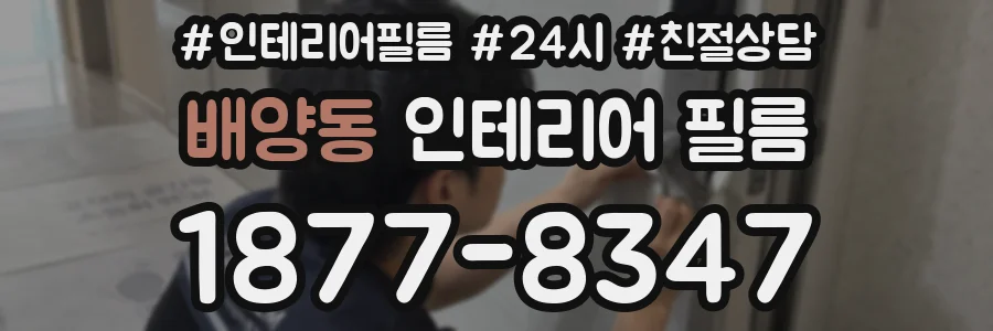 배양동 인테리어 필름