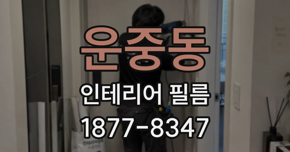 운중동 인테리어 필름