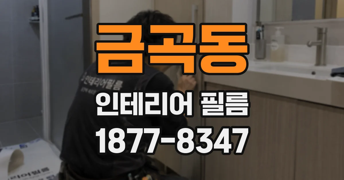 금곡동 인테리어 필름
