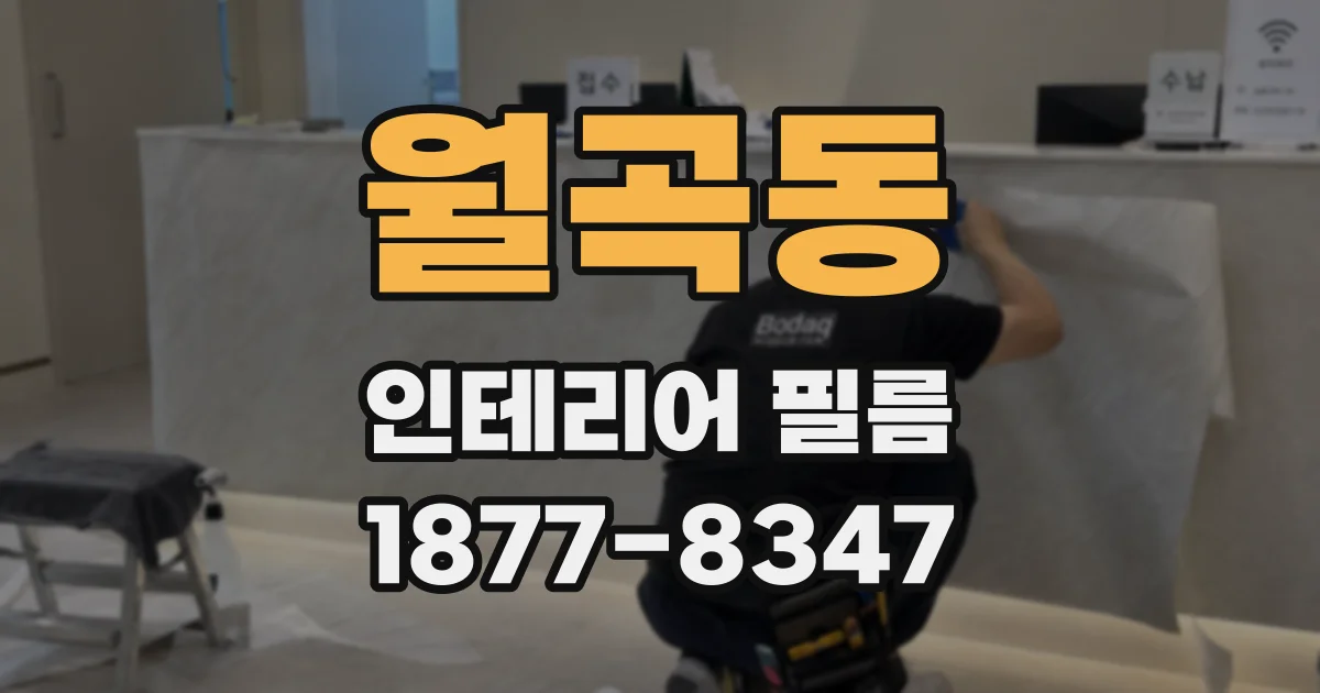 월곡동 인테리어 필름