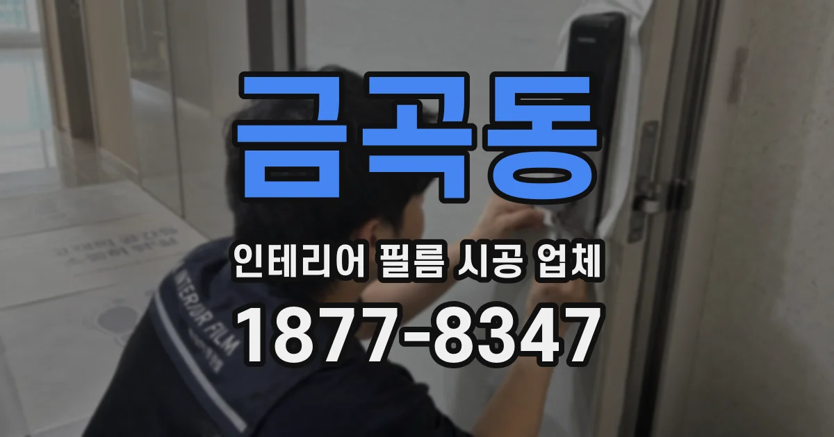 금곡동 인테리어 필름 시공 업체