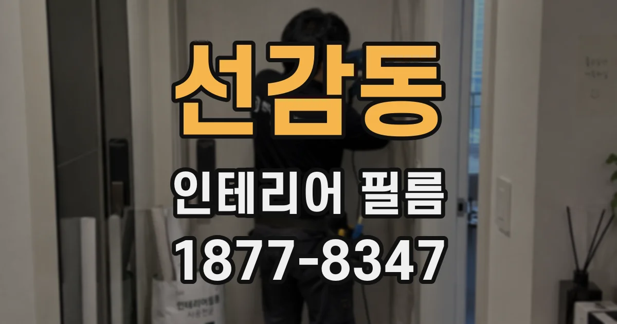 선감동 인테리어 필름