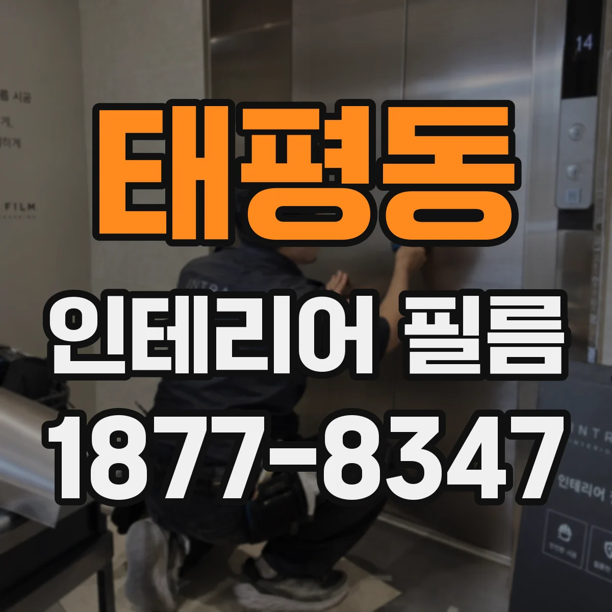 태평동 인테리어 필름