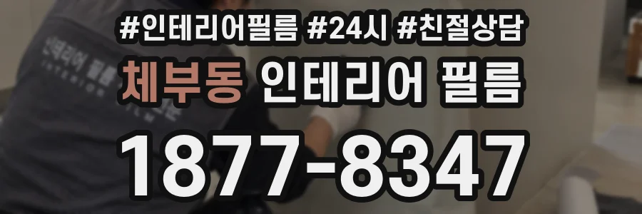체부동 인테리어 필름