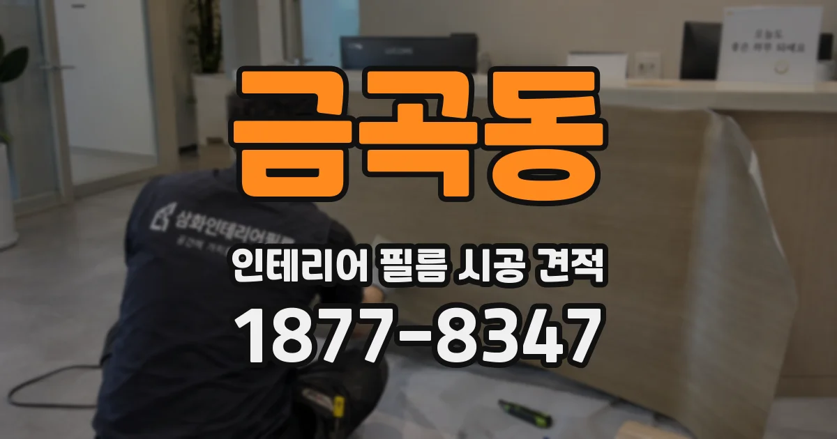 금곡동 인테리어 필름 시공 견적