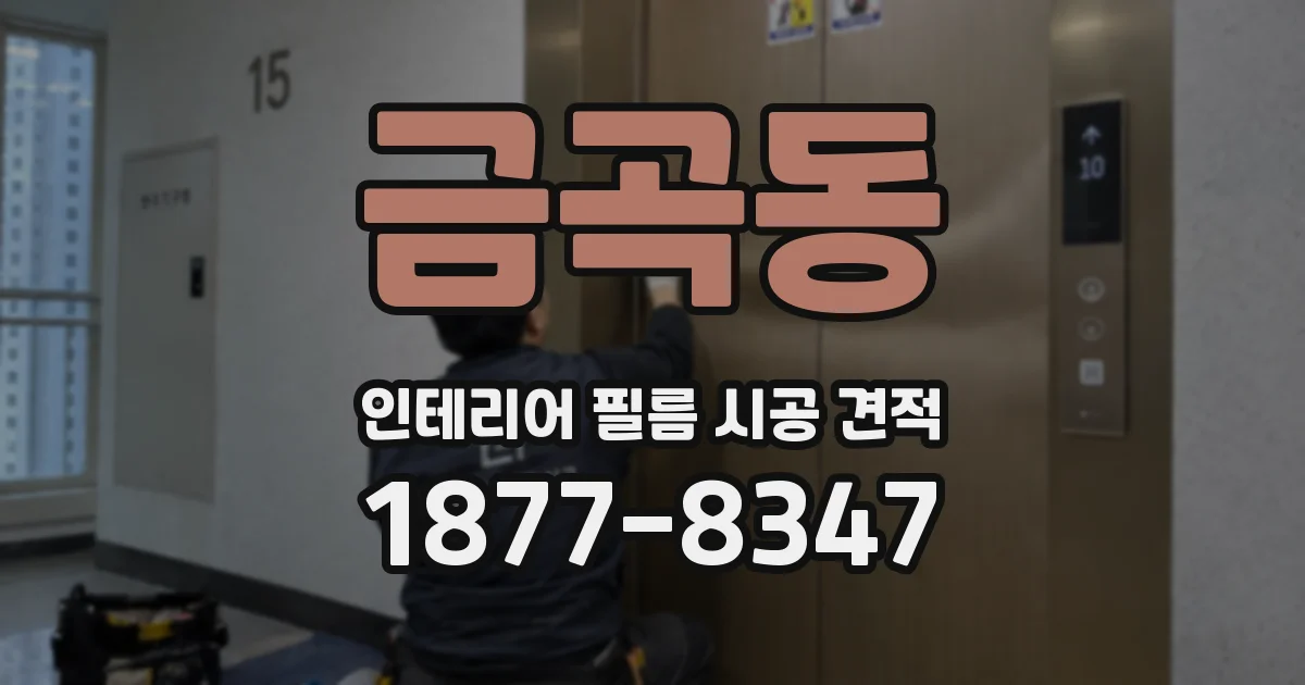 금곡동 인테리어 필름 시공 견적