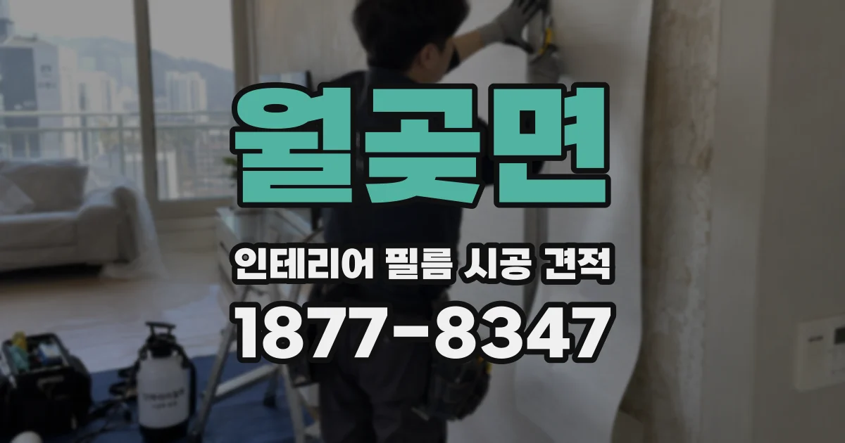 월곶면 인테리어 필름 시공 견적
