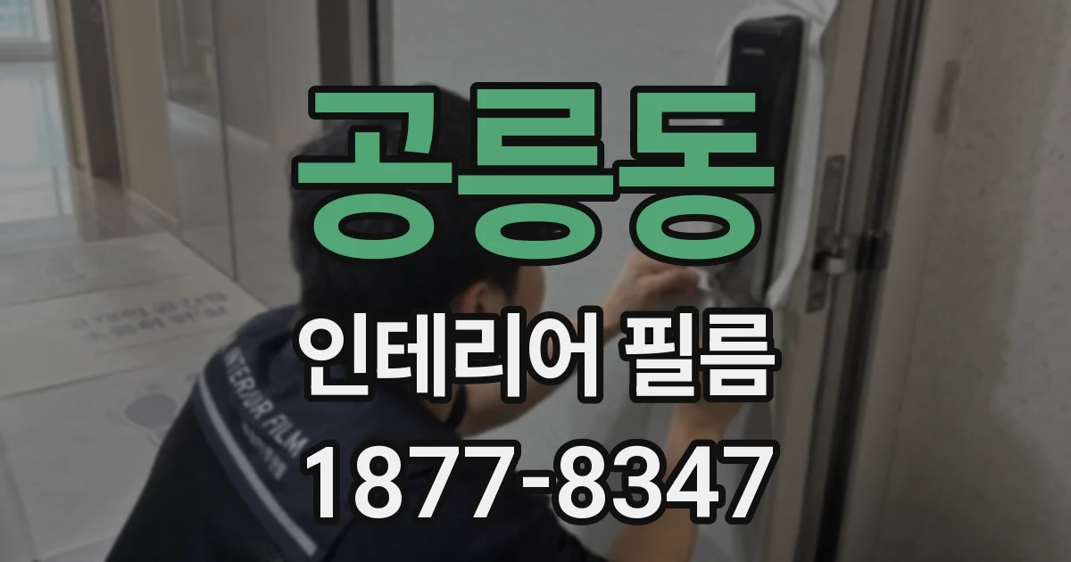 공릉동 인테리어 필름